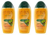 Lotus Herbals Amlapura Shikakai Amla Herbal Shampoo, 200ml x Pack of 3 image 6