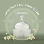 Lotus Herbals Whiteglow Gel Cream 40g, Nourishing Night Cream 40g, Set of 2 image 2 — view 2