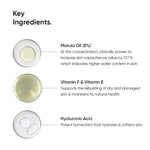 Minimalist Marula Oil 5% Face Moisturizer For Dry Skin With Hyaluronic Acid For Deep Nourishment & Hydration, For Men & Women image 4 — view 4