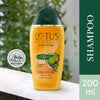 Lotus Herbals Amlapura Shikakai Amla Herbal Shampoo, 200ml x Pack of 3 image 4