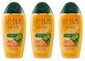 Lotus Herbals Amlapura Shikakai Amla Herbal Shampoo, 200ml x Pack of 3