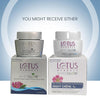 Lotus Herbals WhiteGlow Skin Whitening & Brightening Nourishing Night Creme | Reduces Dark Spots & Dullness | Overnight Hydration & Skin Renewal | Paraben-Free | For Women & Men | All Skin Types | 40g image 3