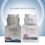 Lotus Herbals WhiteGlow Skin Whitening & Brightening Nourishing Night Creme | Reduces Dark Spots & Dullness | Overnight Hydration & Skin Renewal | Paraben-Free | For Women & Men | All Skin Types | 40g image 3 — view 3